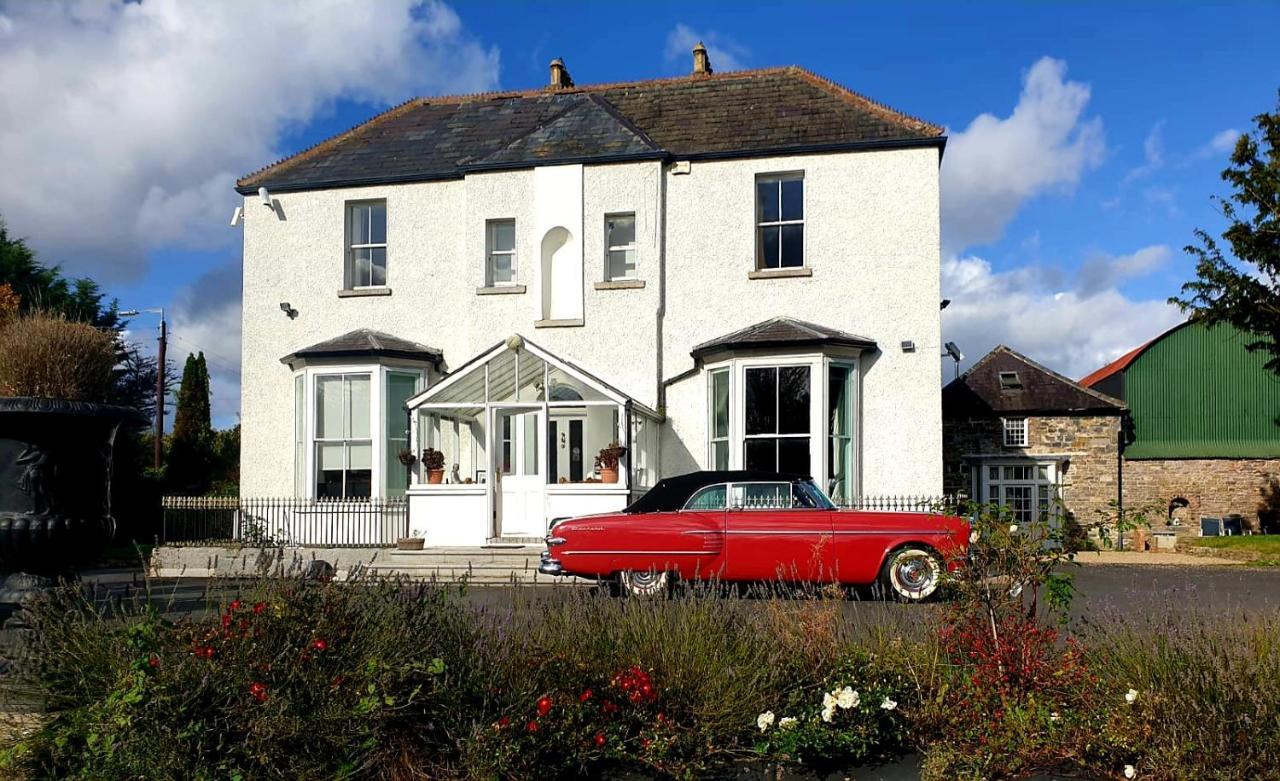 Penzion Mount Pleasant Country House Lucan Exteriér fotografie